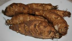 Jerusalem artichokes
